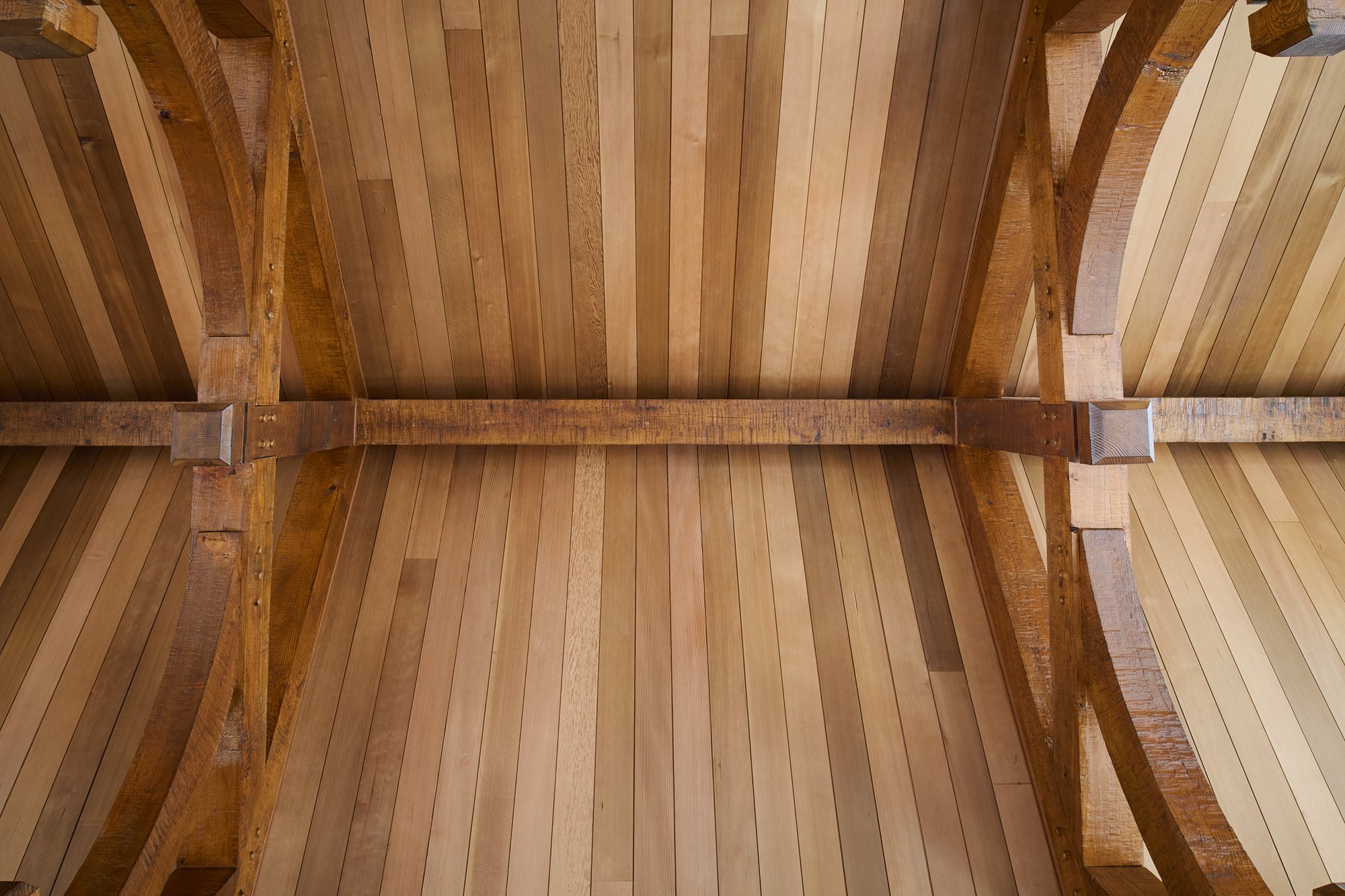 Overhead shot of ICON Radiata Pine