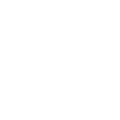 rigorous-inspection-1
