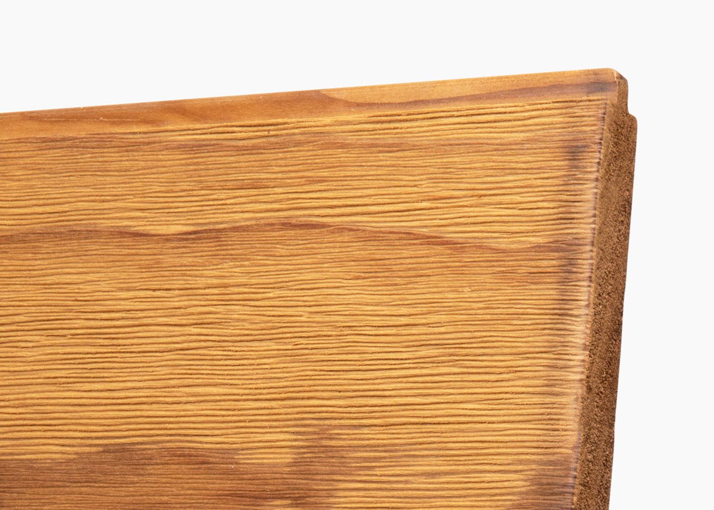 Radiata-Brush Texture Radiata-Brush Texture